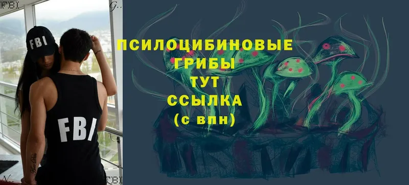 Псилоцибиновые грибы Magic Shrooms  купить   Александровск 